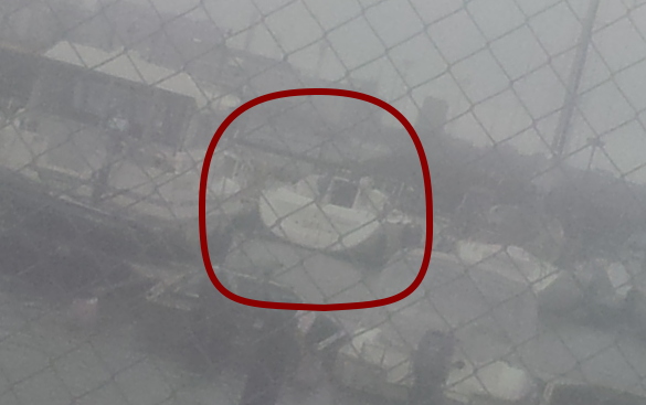 Punaraitainen pikku firsti nähty pajalahdessa siltojenalitusmoodissa